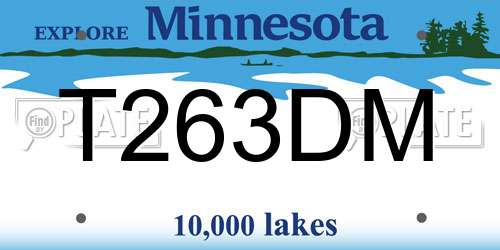 T263DM Minnesota License Plate