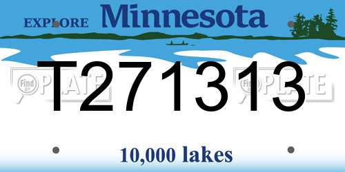 T271313 Minnesota License Plate
