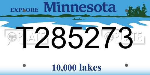 T285273 Minnesota License Plate