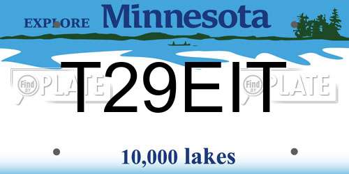 T29EIT Minnesota License Plate