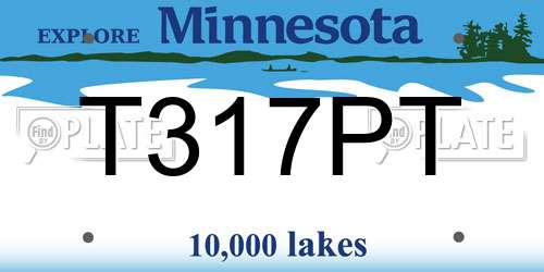 T317PT Minnesota License Plate