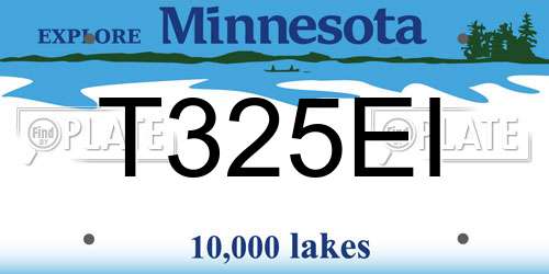 T325EI Minnesota License Plate