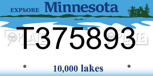 T375893 Minnesota License Plate