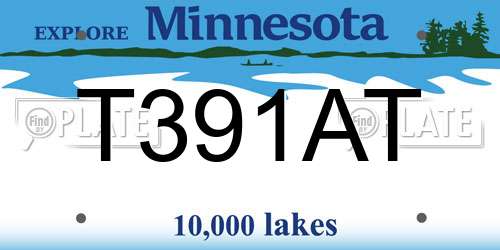 T391AT Minnesota License Plate