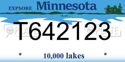 T642123 Minnesota License Plate