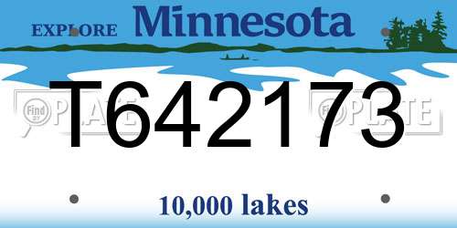 T642173 Minnesota License Plate