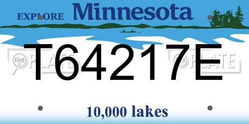 T64217E Minnesota License Plate