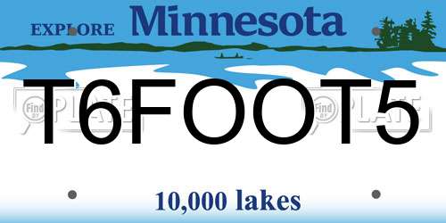 T6FOOT5 Minnesota License Plate
