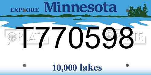 T770598 Minnesota License Plate