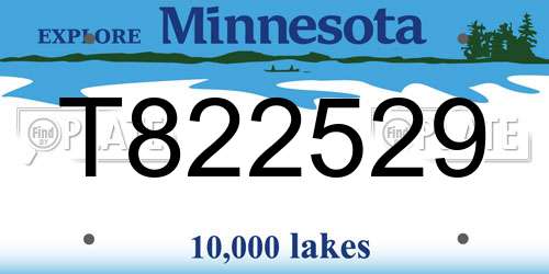 T822529 Minnesota License Plate