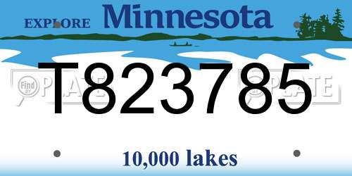 T823785 Minnesota License Plate