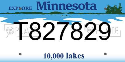 T827829 Minnesota License Plate