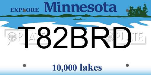 T82BRD Minnesota License Plate