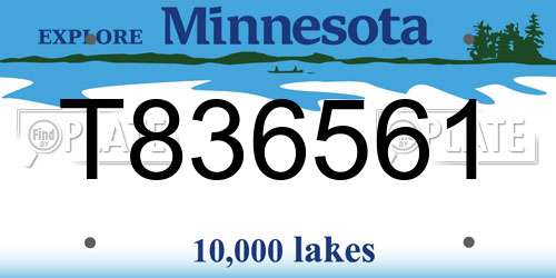 T836561 Minnesota License Plate