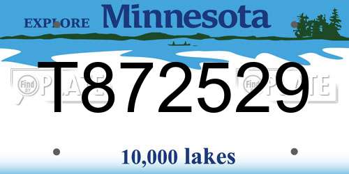 T872529 Minnesota License Plate