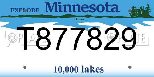 T877829 Minnesota License Plate