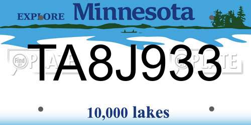 TA8J933 Minnesota License Plate