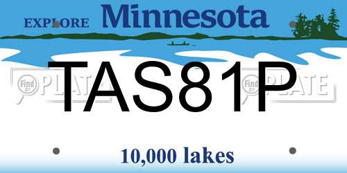 TAS81P Minnesota License Plate