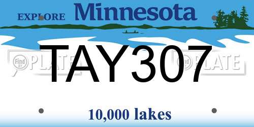 TAY307 Minnesota License Plate