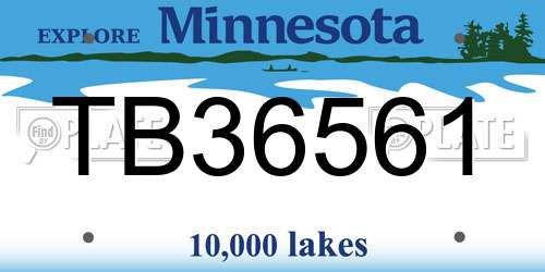 TB36561 Minnesota License Plate