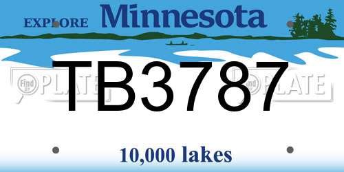 TB3787 Minnesota License Plate