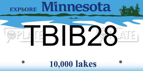 TBIB28 Minnesota License Plate