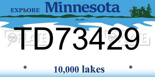 TD73429 Minnesota License Plate