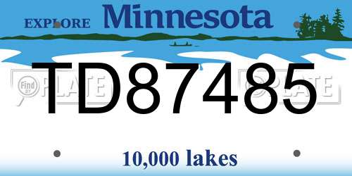 TD87485 Minnesota License Plate