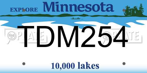 TDM254 Minnesota License Plate
