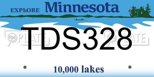 TDS328 Minnesota License Plate