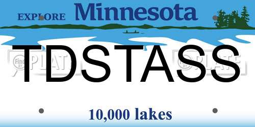 TDSTASS Minnesota License Plate