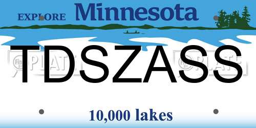 TDSZASS Minnesota License Plate