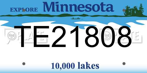 TE21808 Minnesota License Plate