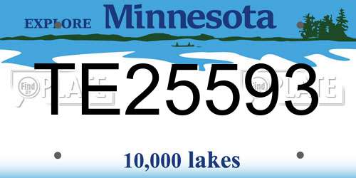 TE25593 Minnesota License Plate