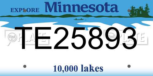 TE25893 Minnesota License Plate