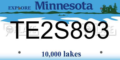 TE2S893 Minnesota License Plate