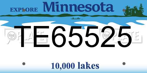 TE65525 Minnesota License Plate