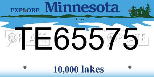 TE65575 Minnesota License Plate