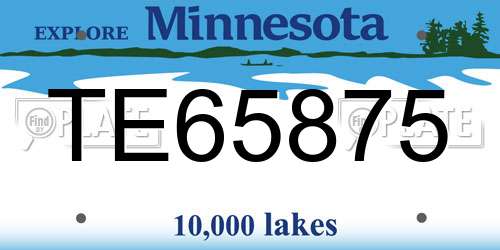 TE65875 Minnesota License Plate