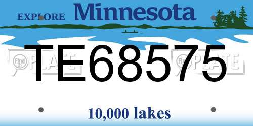 TE68575 Minnesota License Plate