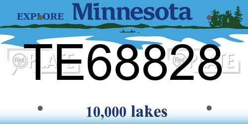 TE68828 Minnesota License Plate