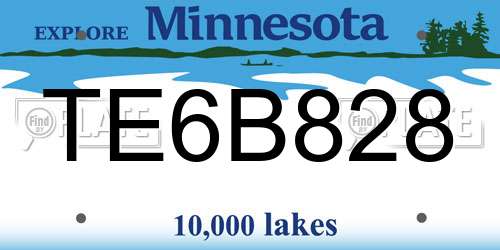 TE6B828 Minnesota License Plate