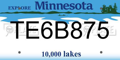 TE6B875 Minnesota License Plate