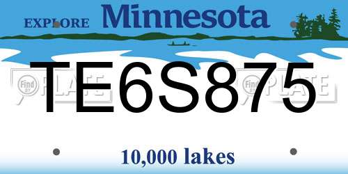 TE6S875 Minnesota License Plate