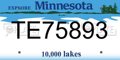 TE75893 Minnesota License Plate