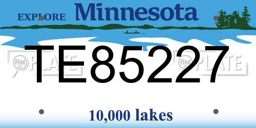 TE85227 Minnesota License Plate