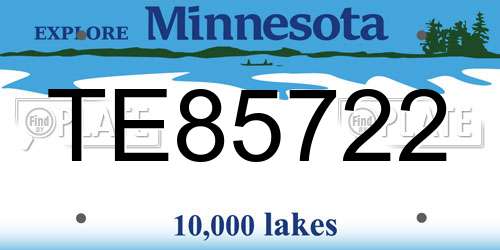 TE85722 Minnesota License Plate