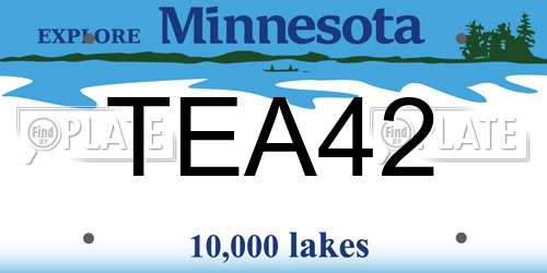 TEA42 Minnesota License Plate