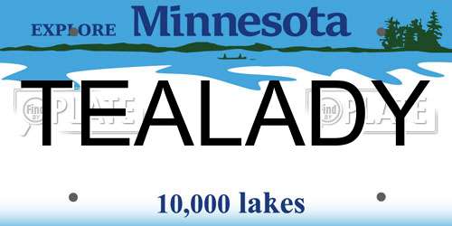 TEALADY Minnesota License Plate