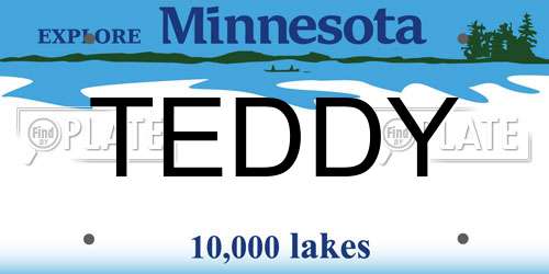 TEDDY Minnesota License Plate